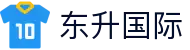 东升国际-「品质引领发展,专注成就未来」
